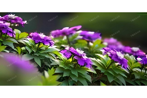 杭州按摩椅线束最新款展示,享受健康生活好帮手(按摩椅线路图说明) 杭州按摩椅线束最新款展示,享受健康生活好帮手(按摩椅线路图说明)